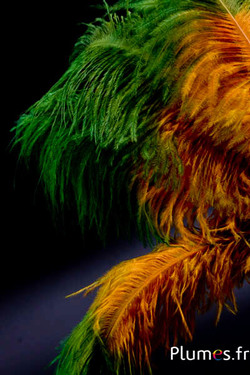 Struzzo - 30-40 cm - dorato azteco-verde